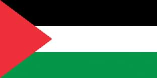 2403NLW Flag of Palestine